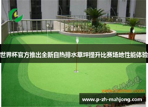 世界杯官方推出全新自热排水草坪提升比赛场地性能体验