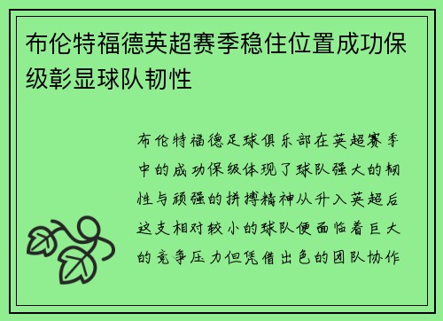布伦特福德英超赛季稳住位置成功保级彰显球队韧性